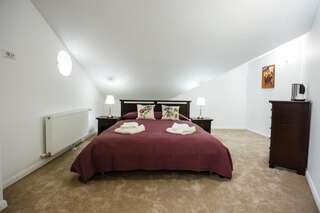 Отели типа «постель и завтрак» Maisonette Apartments Кымпулунг Люкс-1